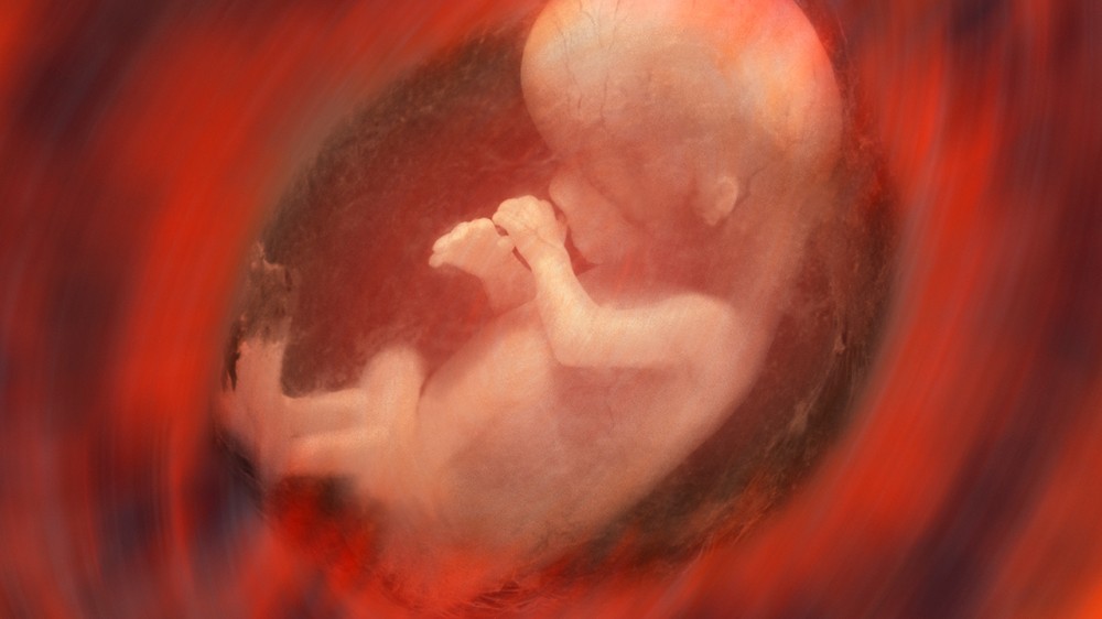 怀孕对婴儿味蕾的影响是在胎儿期形成的