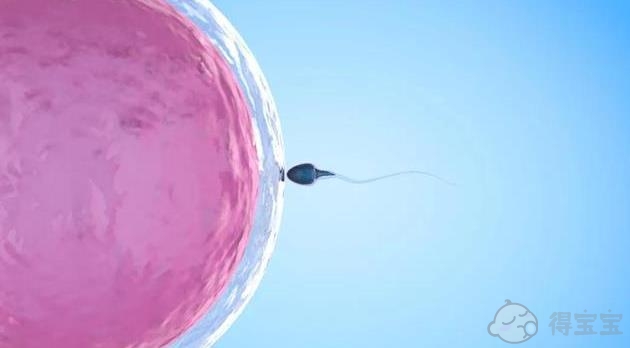 有排卵障碍的试管婴儿可以在泰国进行吗？
