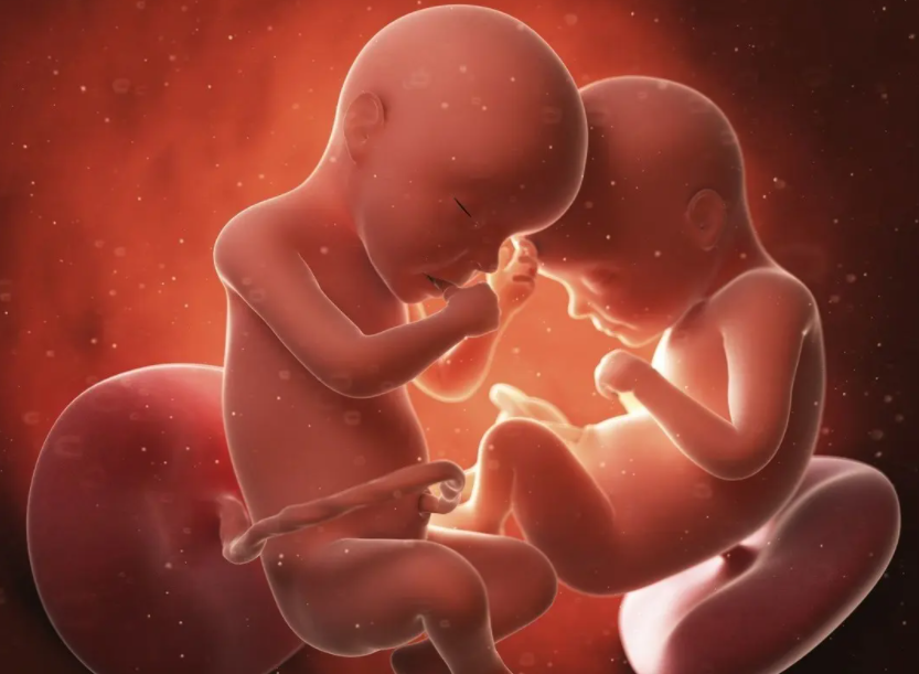徐州代怀龙凤胎联系方式-你真的了解试管婴儿双胞胎吗？