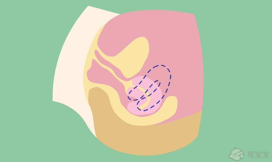 江门供卵助孕收费标准-用性激素小组检测卵巢早衰并不困难： 寻找高于这一标准的fsh水平。