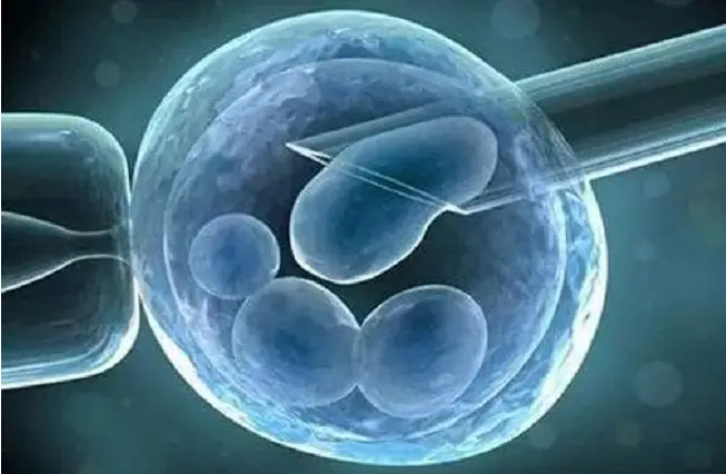 温州供卵试管助孕微信群：囊胚移植后每天可能出现的症状，腹痛是正常的。